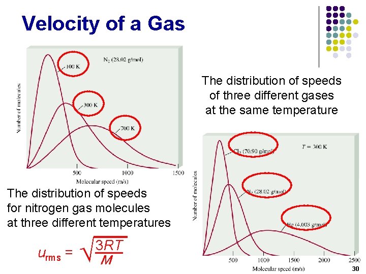 Velocity of a Gas The distribution of speeds of three different gases at the