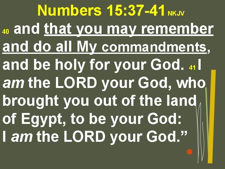 Numbers 15: 37 -41 NKJV 40 and that you may remember and do all