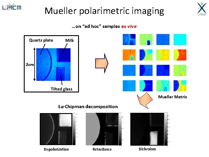 Mueller polarimetric imaging …on “ad hoc” samples ex vivo Quartz plate Milk 2 cm