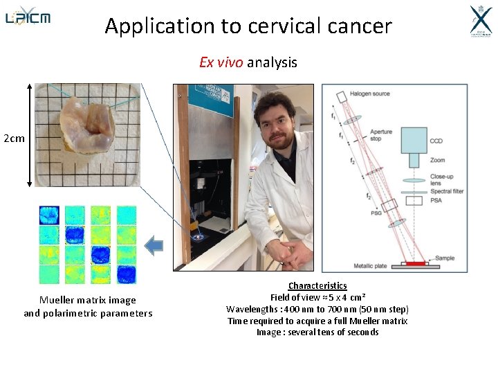 Application to cervical cancer Ex vivo analysis 2 cm Mueller matrix image and polarimetric