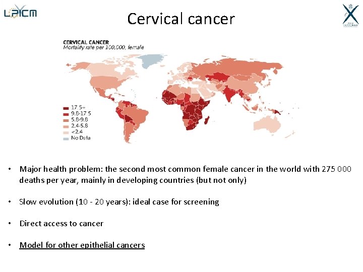 Cervical cancer • Major health problem: the second most common female cancer in the