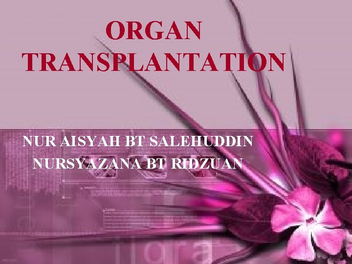 ORGAN TRANSPLANTATION NUR AISYAH BT SALEHUDDIN NURSYAZANA BT RIDZUAN 