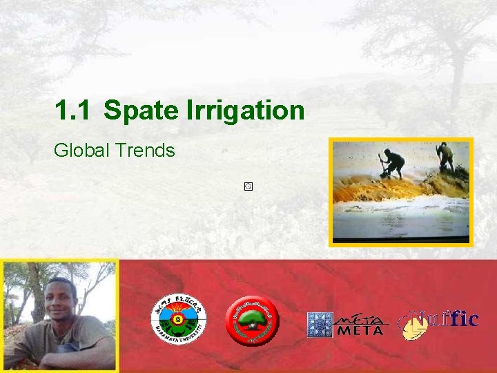 1. 1 Spate Irrigation Global Trends 