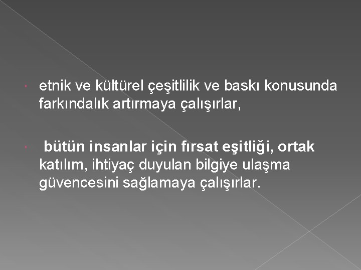  etnik ve kültürel çeşitlilik ve baskı konusunda farkındalık artırmaya çalışırlar, bütün insanlar için