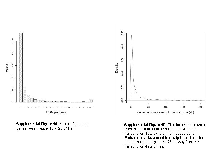 Supplemental Figure 1 A. A small fraction of genes were mapped to >=20 SNPs.