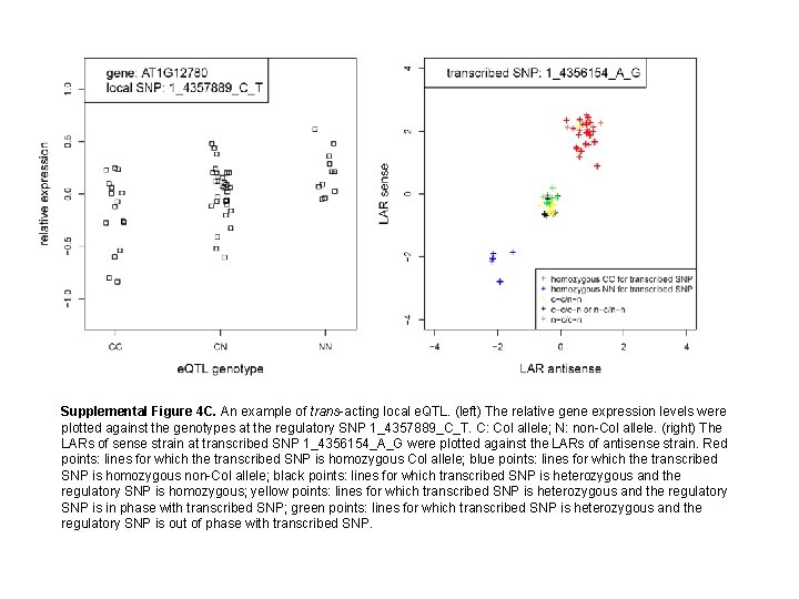 Supplemental Figure 4 C. An example of trans-acting local e. QTL. (left) The relative