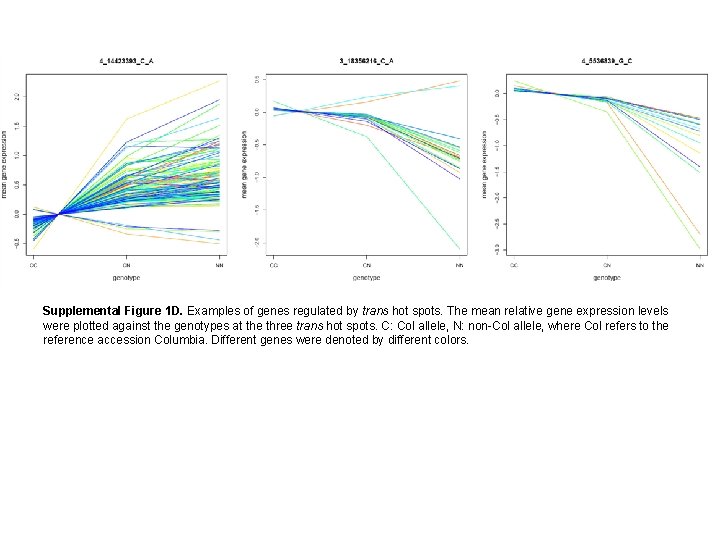 Supplemental Figure 1 D. Examples of genes regulated by trans hot spots. The mean