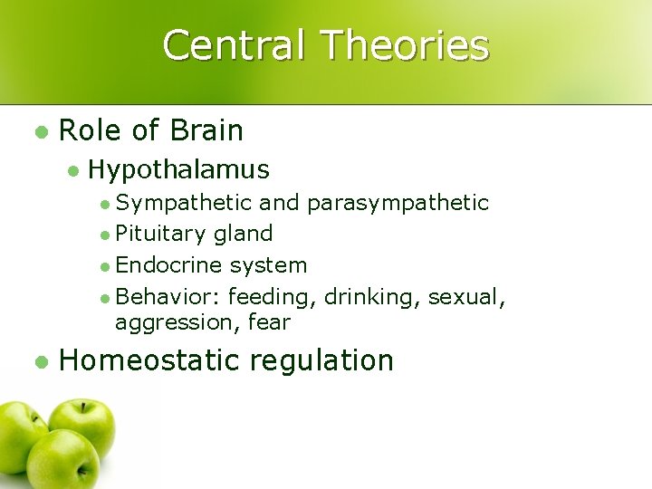 Central Theories l Role of Brain l Hypothalamus l Sympathetic and parasympathetic l Pituitary
