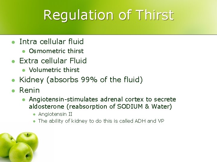 Regulation of Thirst l Intra cellular fluid l l Extra cellular Fluid l l