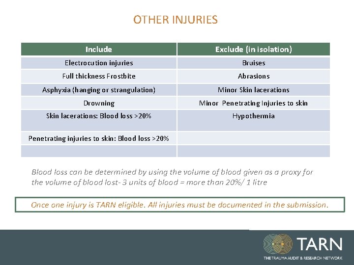 OTHER INJURIES Include Exclude (in isolation) Electrocution injuries Bruises Full thickness Frostbite Abrasions Asphyxia OTHER INJURIES Include Exclude (in isolation) Electrocution injuries Bruises Full thickness Frostbite Abrasions Asphyxia
