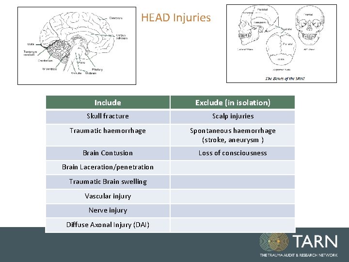 HEAD Injuries Include Exclude (in isolation) Skull fracture Scalp injuries Traumatic haemorrhage Spontaneous haemorrhage