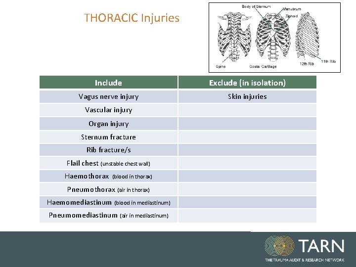 THORACIC Injuries Include Exclude (in isolation) Vagus nerve injury Skin injuries Vascular injury Organ THORACIC Injuries Include Exclude (in isolation) Vagus nerve injury Skin injuries Vascular injury Organ