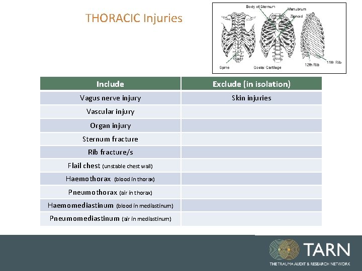 THORACIC Injuries Include Exclude (in isolation) Vagus nerve injury Skin injuries Vascular injury Organ