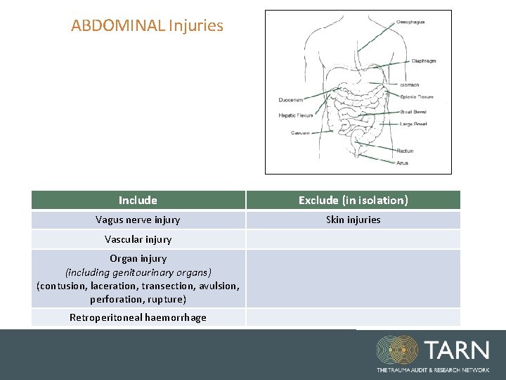 ABDOMINAL Injuries Include Exclude (in isolation) Vagus nerve injury Skin injuries Vascular injury Organ ABDOMINAL Injuries Include Exclude (in isolation) Vagus nerve injury Skin injuries Vascular injury Organ