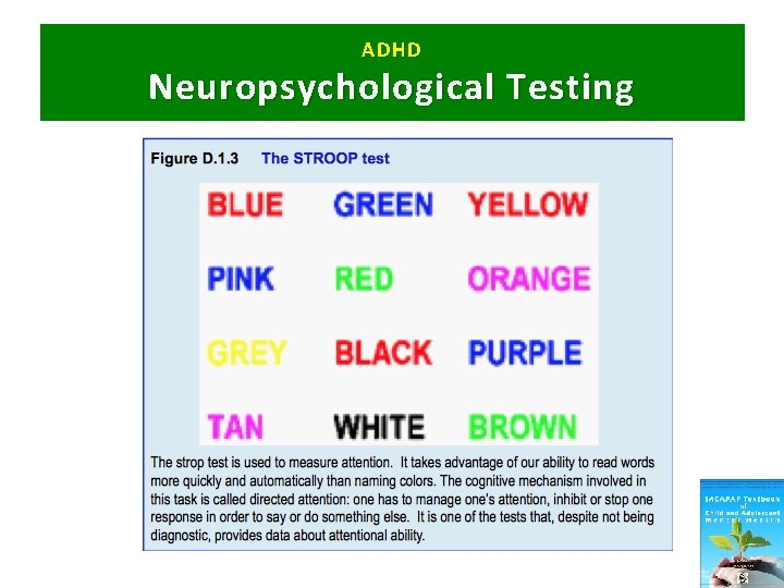 ADHD Neuropsychological Testing 