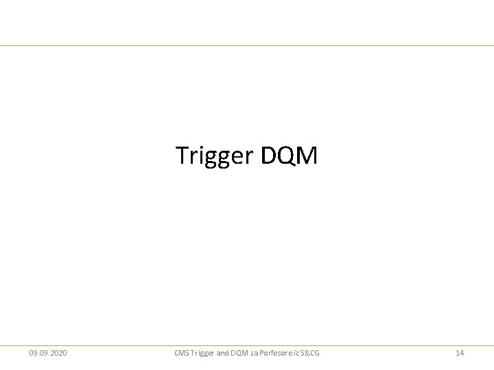 Trigger DQM 09. 2020 CMS Trigger and DQM za Porfesore iz S&CG 14 