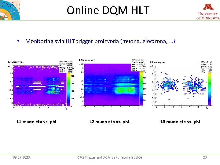 Online DQM HLT • Monitoring svih HLT trigger proizvoda (muona, electrona, …) L 1