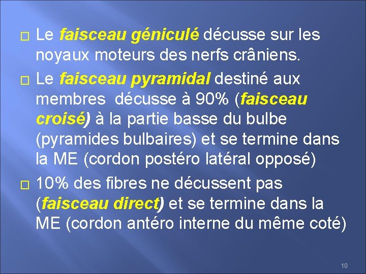 � � � Le faisceau géniculé décusse sur les noyaux moteurs des nerfs crâniens.