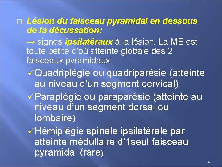 � Lésion du faisceau pyramidal en dessous de la décussation: → signes ipsilatéraux à
