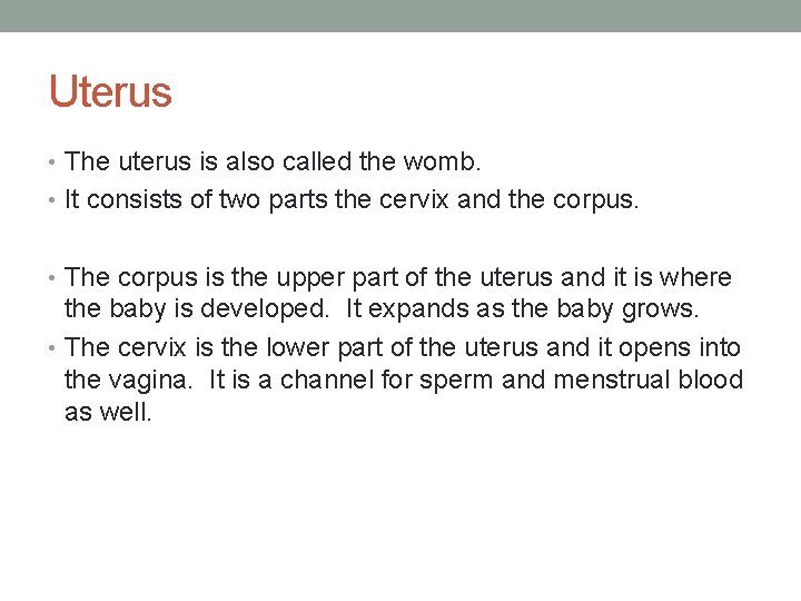 Uterus • The uterus is also called the womb. • It consists of two