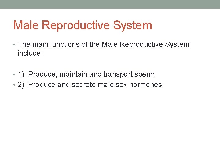Male Reproductive System • The main functions of the Male Reproductive System include: •