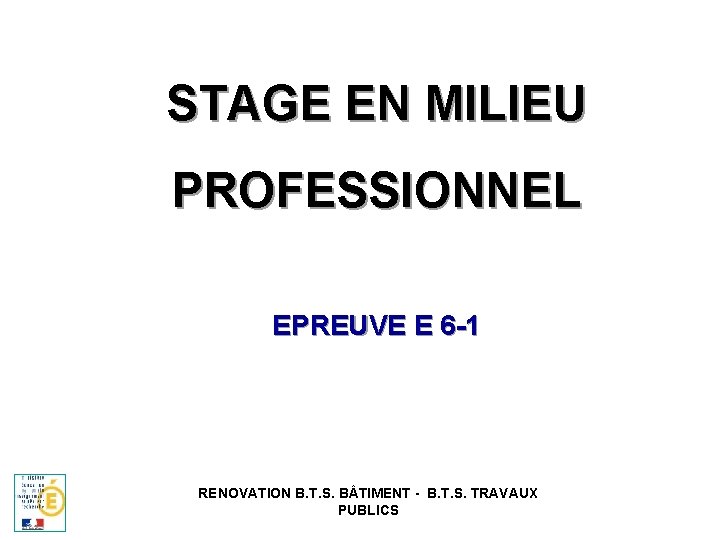 STAGE EN MILIEU PROFESSIONNEL EPREUVE E 6 -1 RENOVATION B. T. S. B TIMENT
