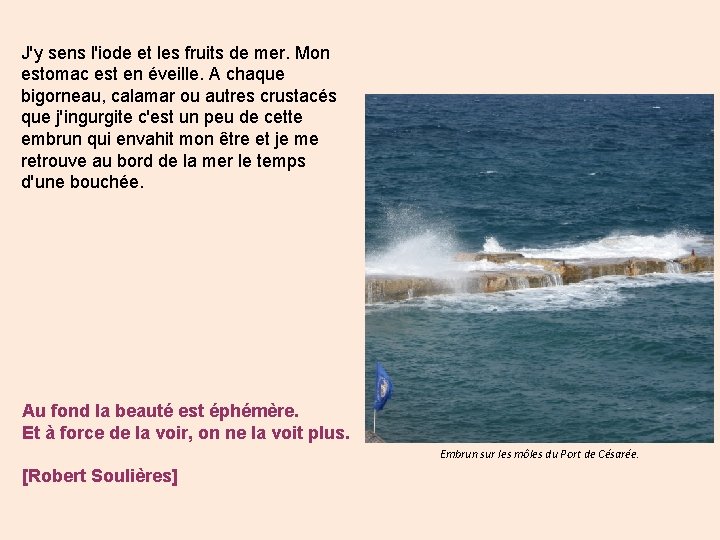 J'y sens l'iode et les fruits de mer. Mon estomac est en éveille. A