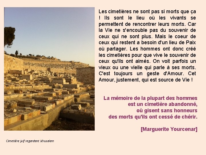 Les cimetières ne sont pas si morts que ça ! Ils sont le lieu