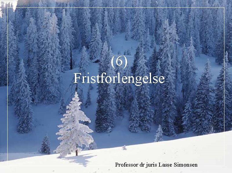 (6) Fristforlengelse Professor dr juris Lasse Simonsen 
