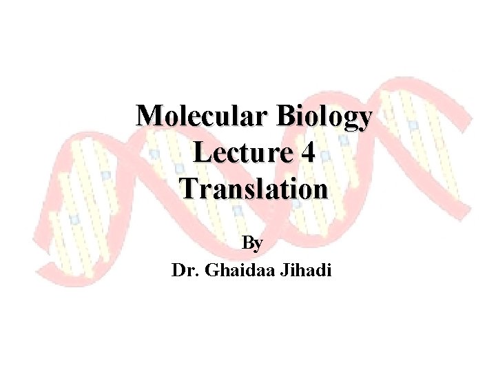 Molecular Biology Lecture 4 Translation By Dr. Ghaidaa Jihadi 