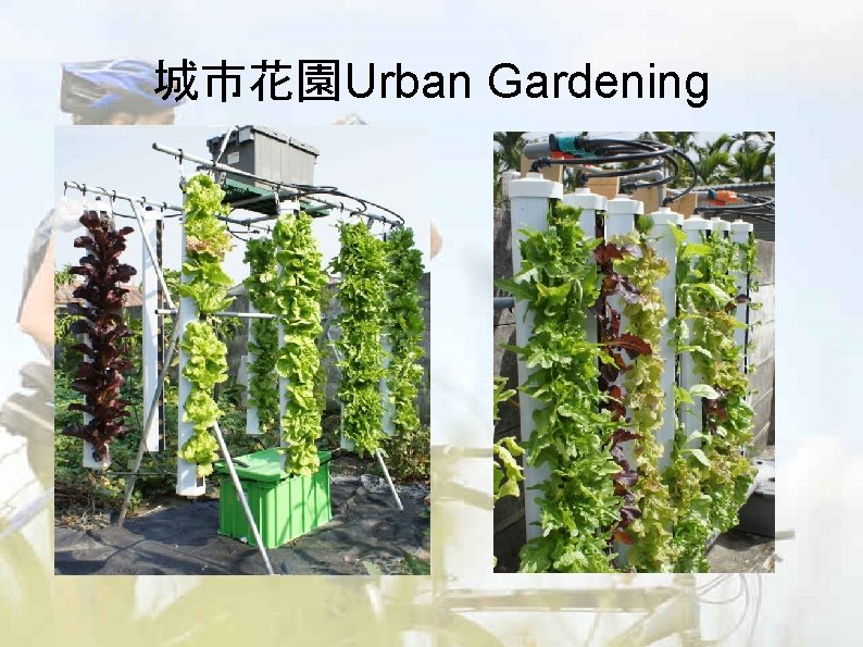 城市花園Urban Gardening 城市花園Urban Gardening