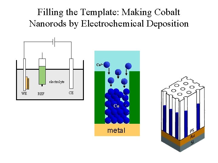 Filling the Template: Making Cobalt Nanorods by Electrochemical Deposition Co 2+ electrolyte WE REF