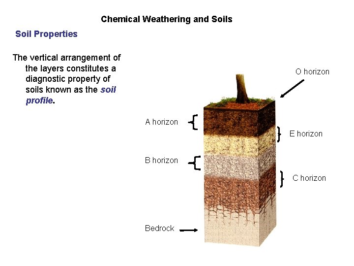 Chemical Weathering and Soils Soil Properties Soil Profile The vertical arrangement of the layers