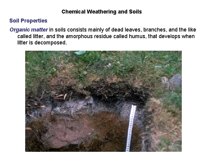Chemical Weathering and Soils Soil Properties Organic matter in soils consists mainly of dead