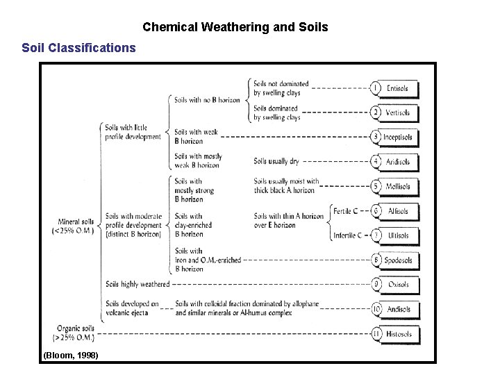 Chemical Weathering and Soils Soil Classifications (Bloom, 1998) 