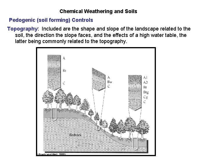 Chemical Weathering and Soils Pedogenic (soil forming) Controls Topography: Included are the shape and