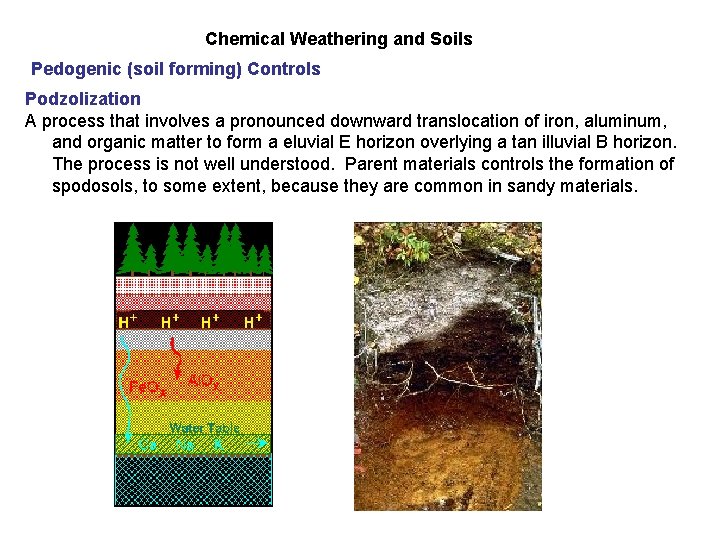 Chemical Weathering and Soils Pedogenic (soil forming) Controls Podzolization A process that involves a