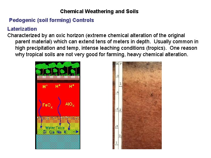 Chemical Weathering and Soils Pedogenic (soil forming) Controls Laterization Characterized by an oxic horizon