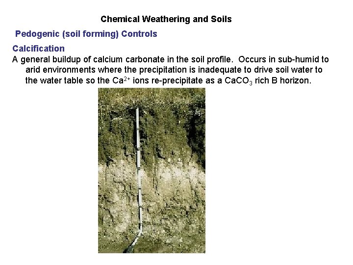 Chemical Weathering and Soils Pedogenic (soil forming) Controls Calcification A general buildup of calcium