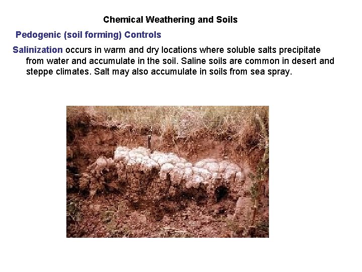 Chemical Weathering and Soils Pedogenic (soil forming) Controls Salinization occurs in warm and dry