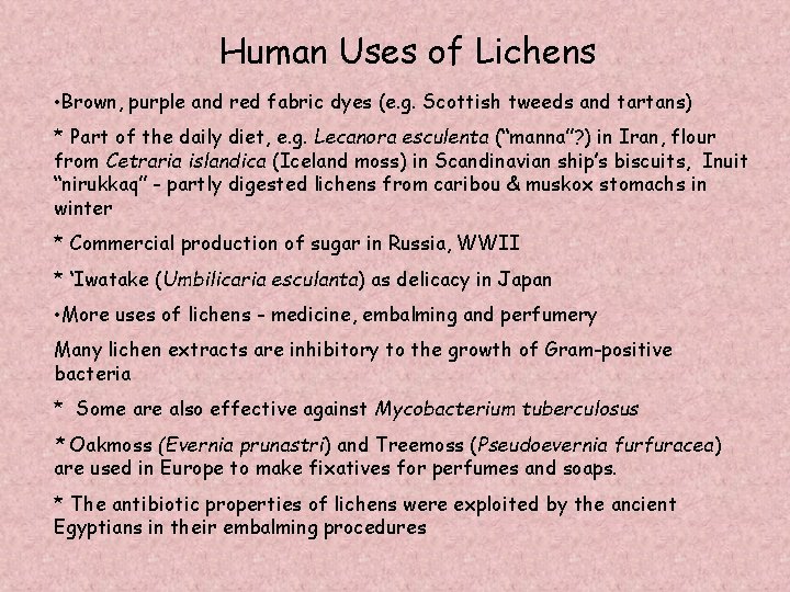 Human Uses of Lichens • Brown, purple and red fabric dyes (e. g. Scottish