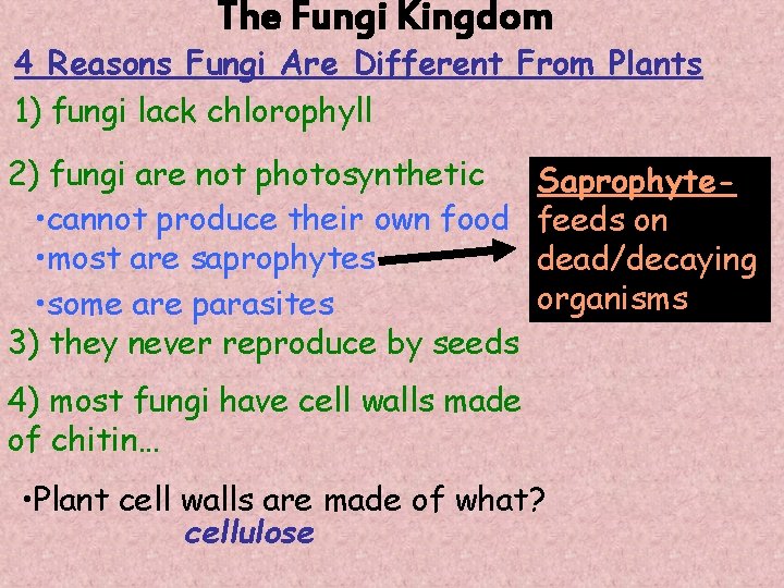 The Fungi Kingdom 4 Reasons Fungi Are Different From Plants 1) fungi lack chlorophyll