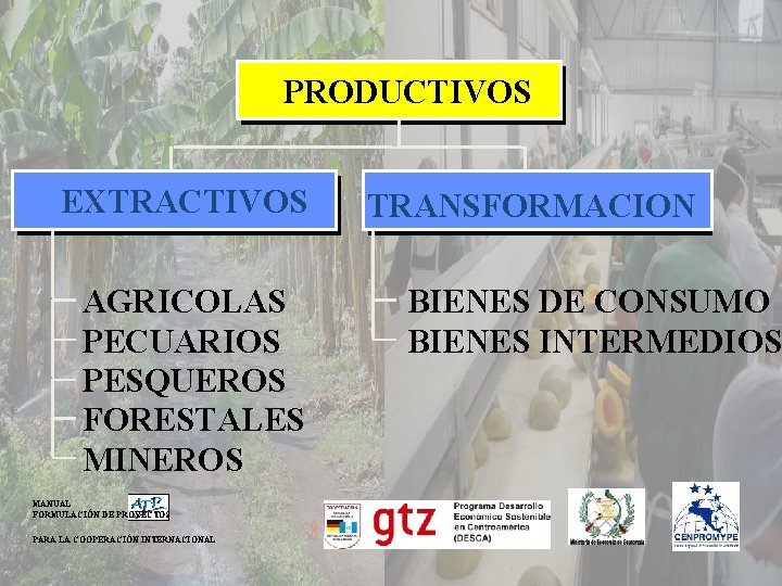 PRODUCTIVOS EXTRACTIVOS AGRICOLAS PECUARIOS PESQUEROS FORESTALES MINEROS MANUAL FORMULACIÓN DE PROYECTOS PARA LA COOPERACIÓN