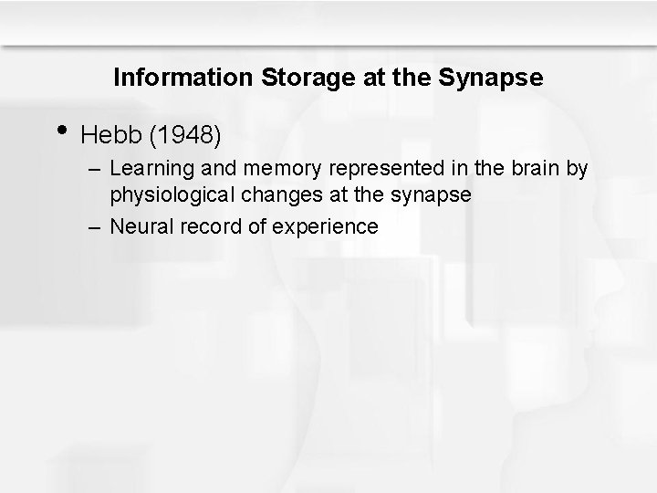 Information Storage at the Synapse • Hebb (1948) – Learning and memory represented in
