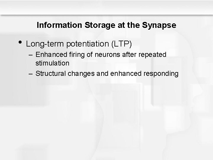 Information Storage at the Synapse • Long-term potentiation (LTP) – Enhanced firing of neurons