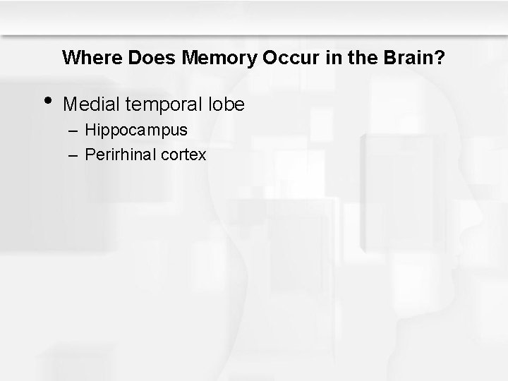 Where Does Memory Occur in the Brain? • Medial temporal lobe – Hippocampus –