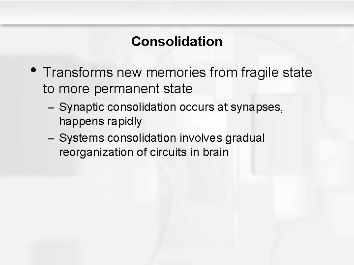 Consolidation • Transforms new memories from fragile state to more permanent state – Synaptic