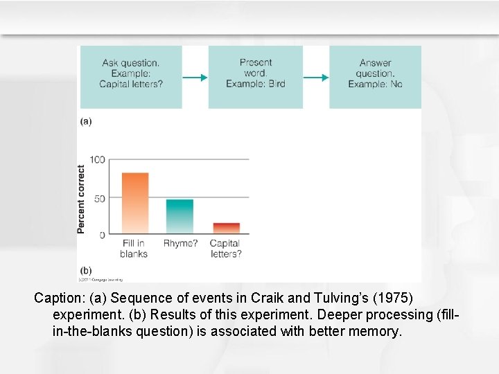 Caption: (a) Sequence of events in Craik and Tulving’s (1975) experiment. (b) Results of