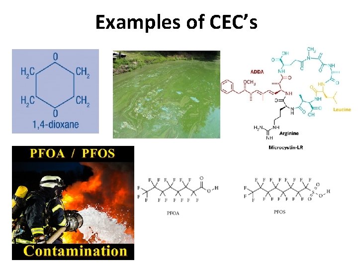 Examples of CEC’s 