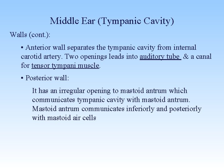 Middle Ear (Tympanic Cavity) Walls (cont. ): • Anterior wall separates the tympanic cavity